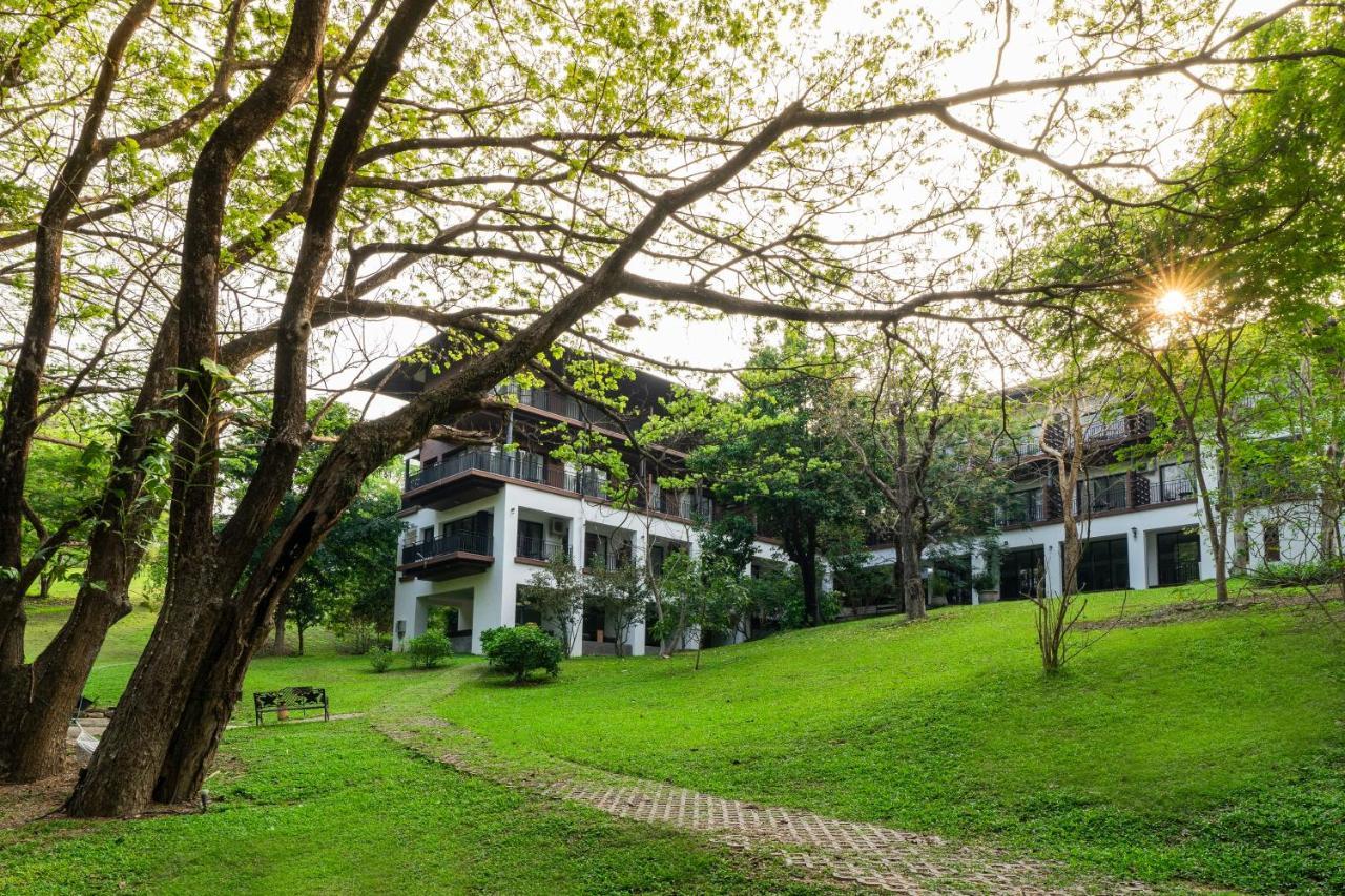 Rain Tree Residence Hotel Pakchong Exterior photo